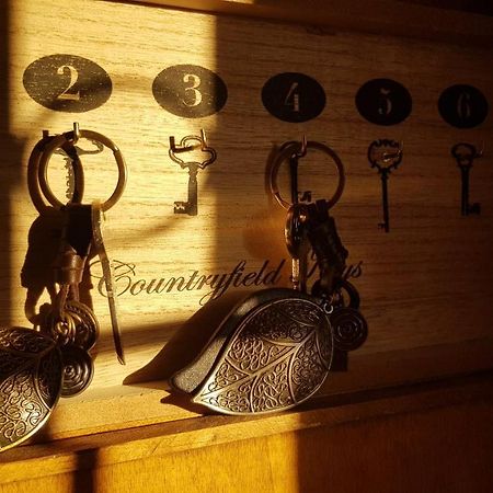 Apartamento Rural Alfawara Alfafara Buitenkant foto