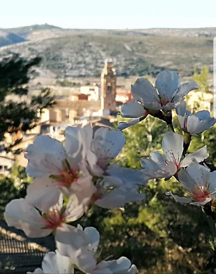 Apartamento Rural Alfawara Alfafara Buitenkant foto